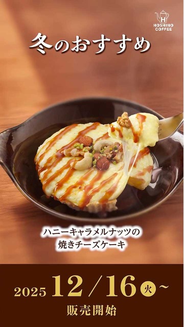 ハニーキャラメルナッツの焼きチーズケーキ