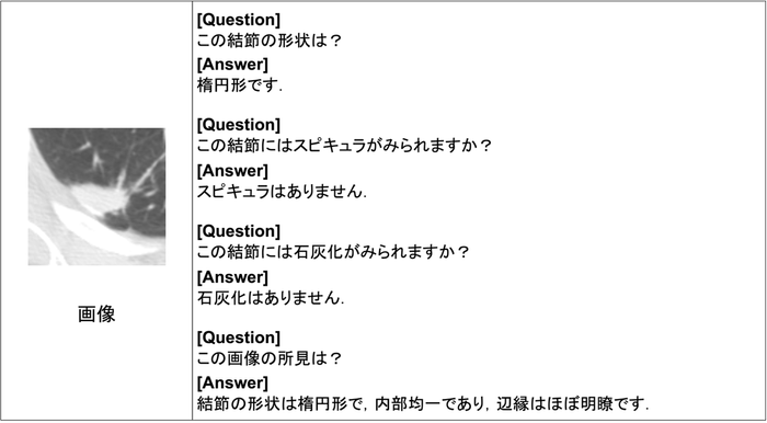 図2:開発した視覚言語モデルによる応答例