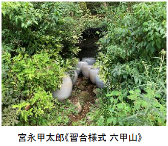 画像11