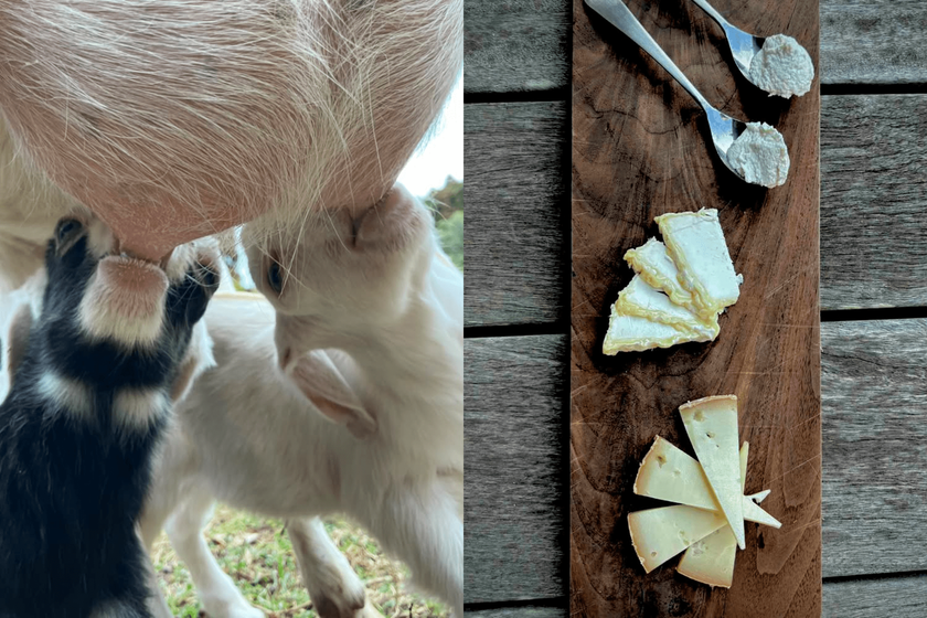 画像10